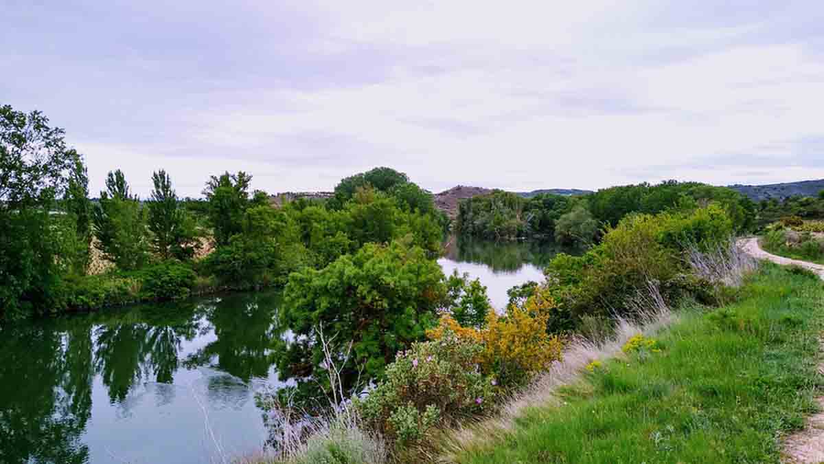 El río Ebro a su paso por La Rioja / Foto: Pixabay