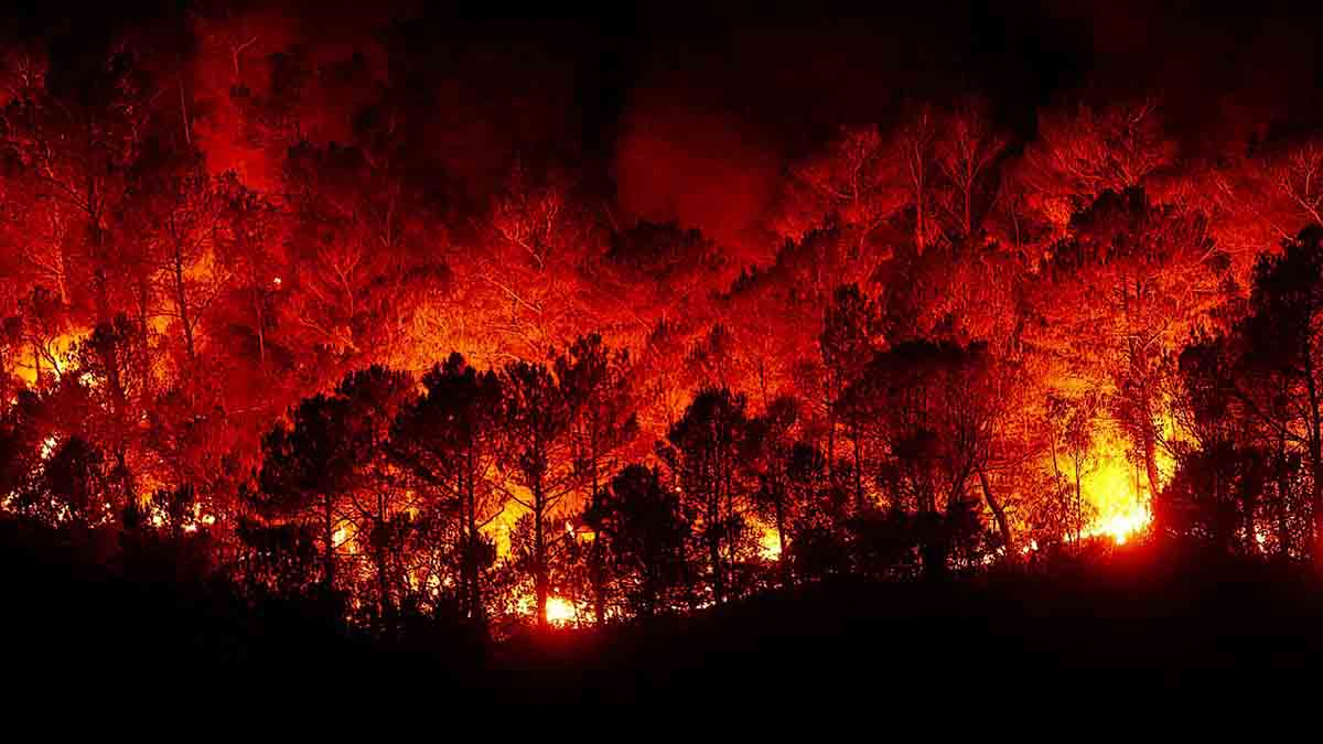 Los incendios en Chile / Foto: Pixabay
