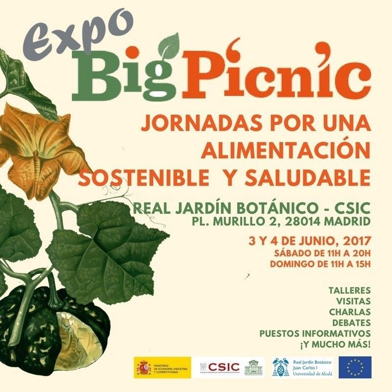 Expo Big Picnic