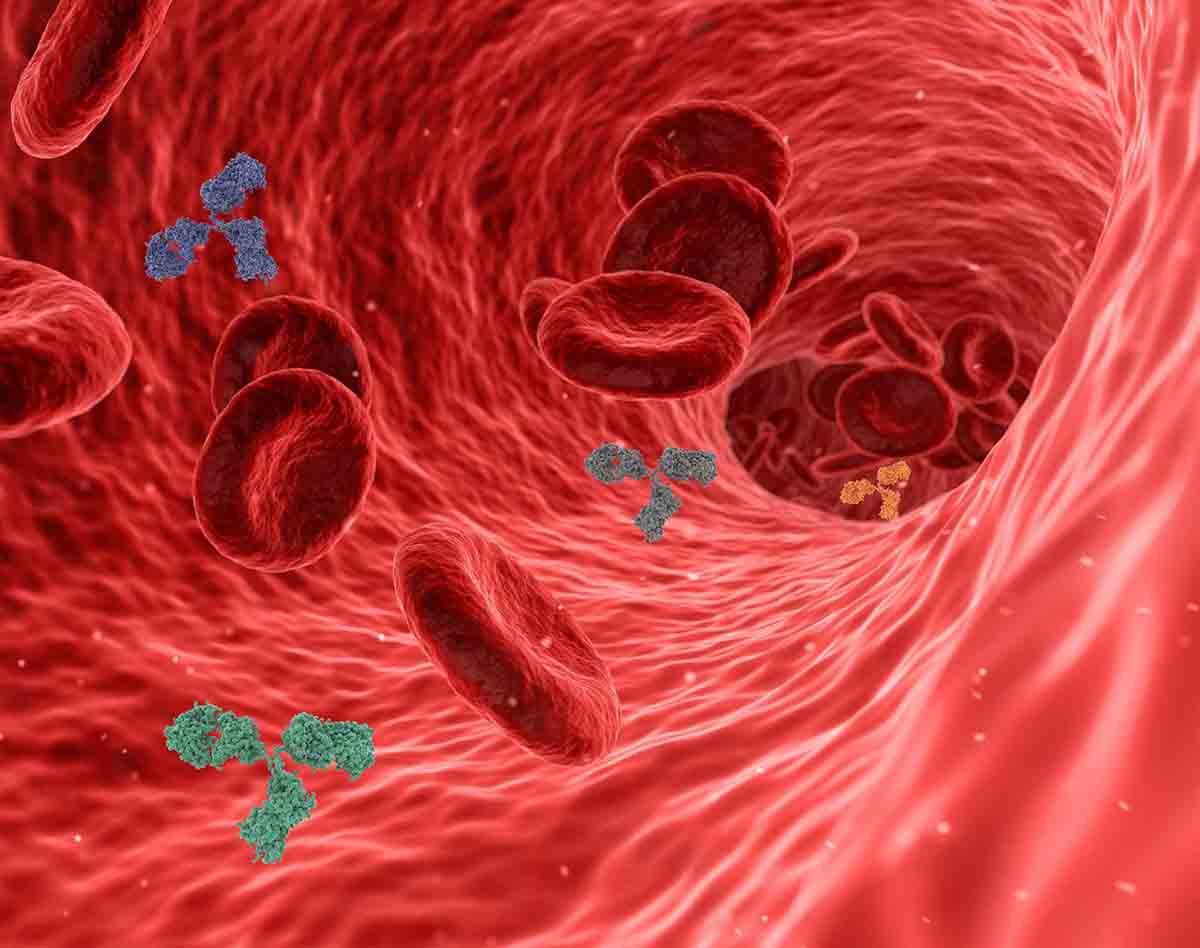 El colesterol malo. ¿Tener el colesterol bajo supone un mayor riesgo frente al coronavirus? / Foto: Pixabay