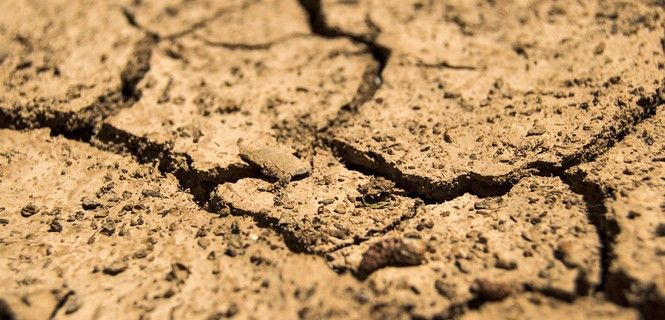 Mejora la compresión de la vida microbiana bajo tierra / Foto: Daeron