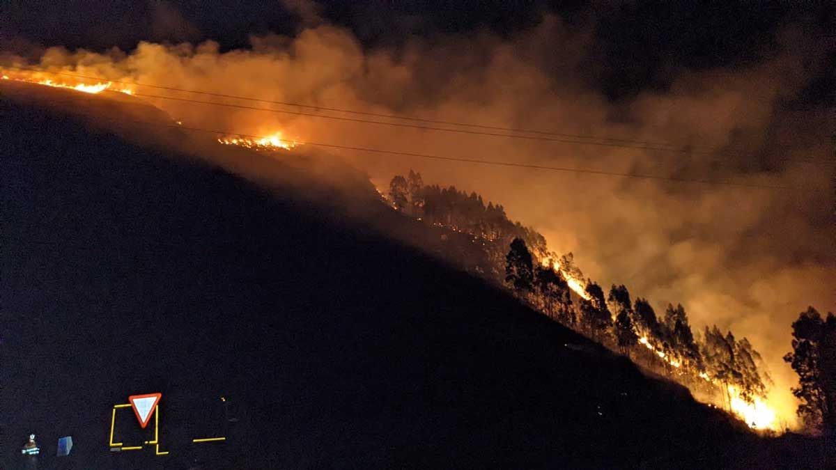 Incendio forestal en Cantabria. Terroristas ambientales / Foto: EP