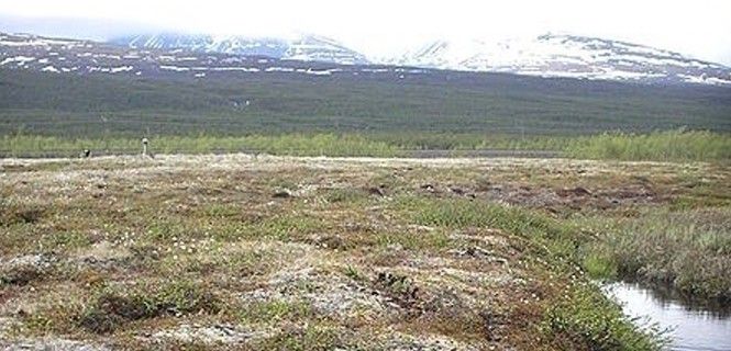 El calentamiento global causa que el permafrost se derrita / Foto: Dentren - Wikipedia