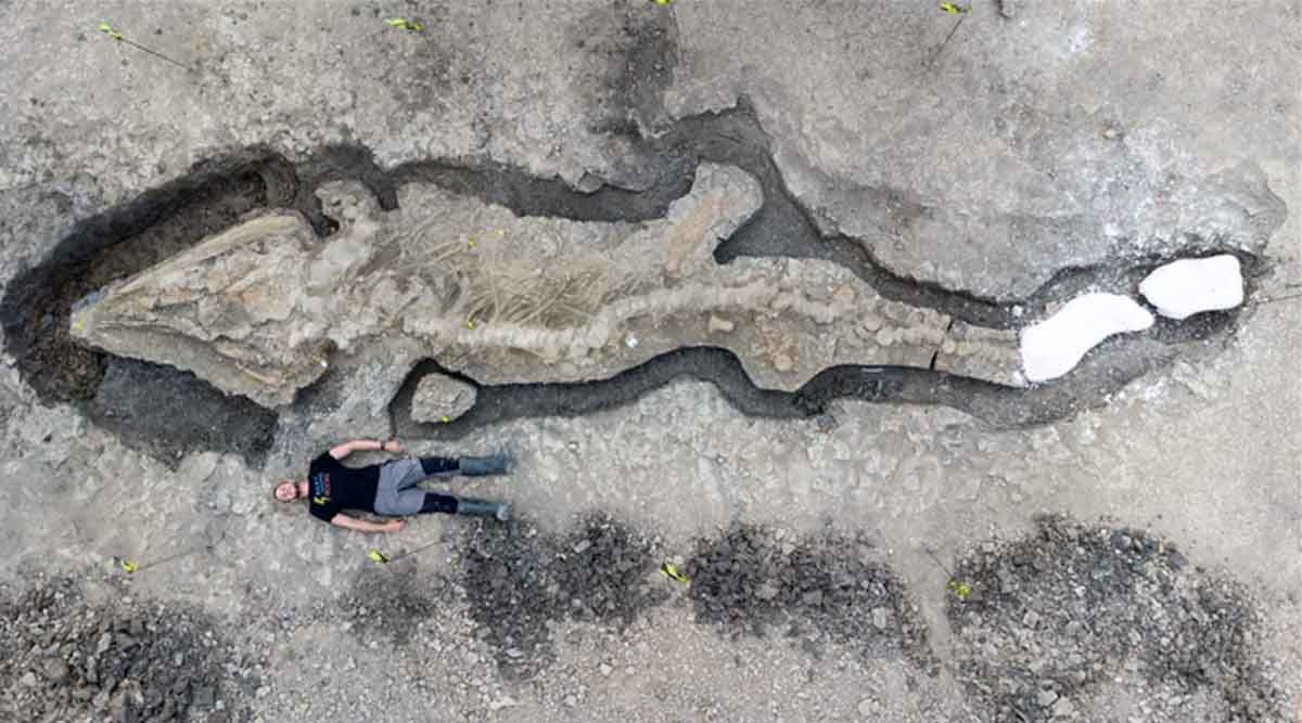 Una persona estirada junto al fósil de 'Temnodontosaurus trigonodon' / Foto: Reserva Natural de Rutland Water