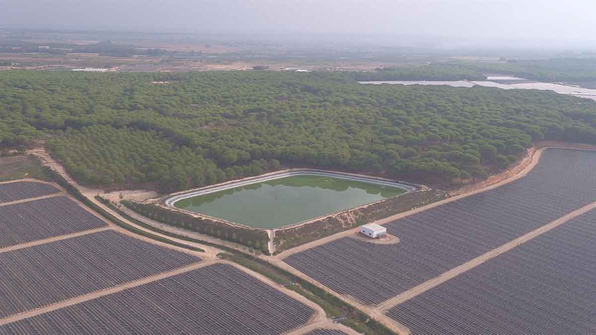 Balsa de riego y cultivos cercano al Parque Nacional de Doñana / Foto: WWF - EP