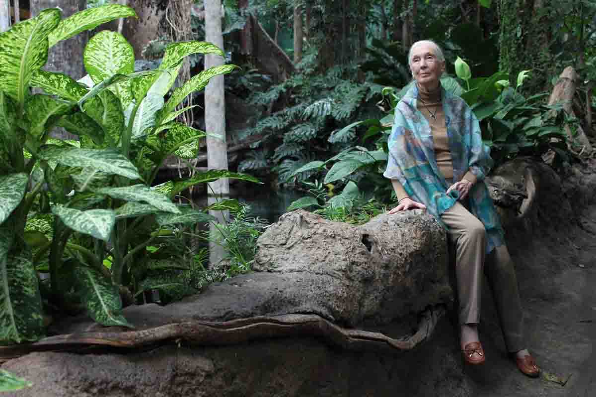 La científica, posando en la reproducción de un bosque amazónico del CosmoCaixa de Barcelona / Foto: Núria Jar - SINC