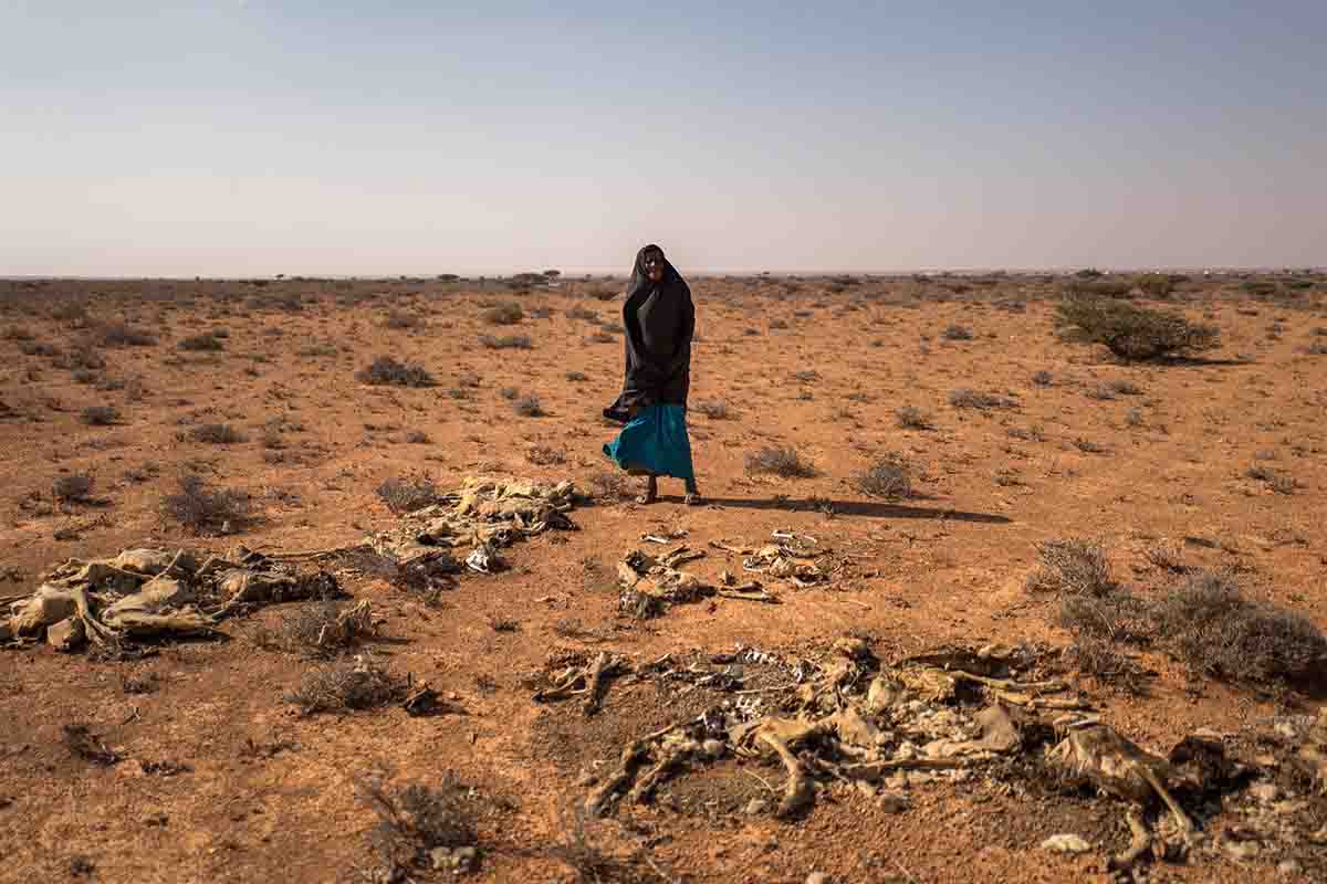 Somalia está afectada por una gran sequía / Foto: Anna Mayumi Kerber - EP