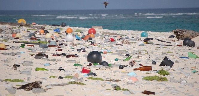 Los plásticos invaden las playas de todo el planeta / Foto: WMC