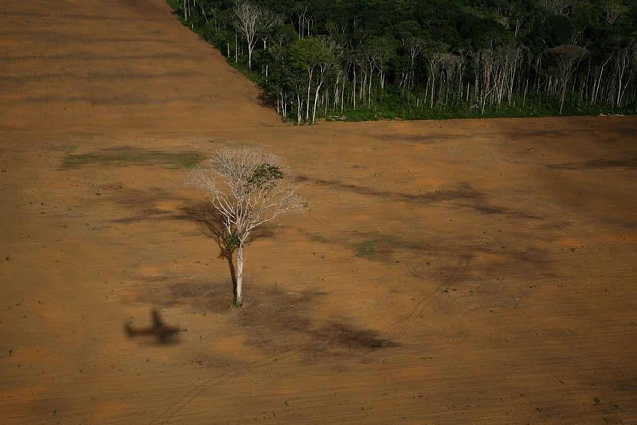 Deforestación del Amazonas debida a las plantaciones de soja para alimentación de ganado. World Press Photo 2007 (2nd prize in 'Contemporary Issues' category) / Foto: Daniel Beltra - Greenpeace - EP