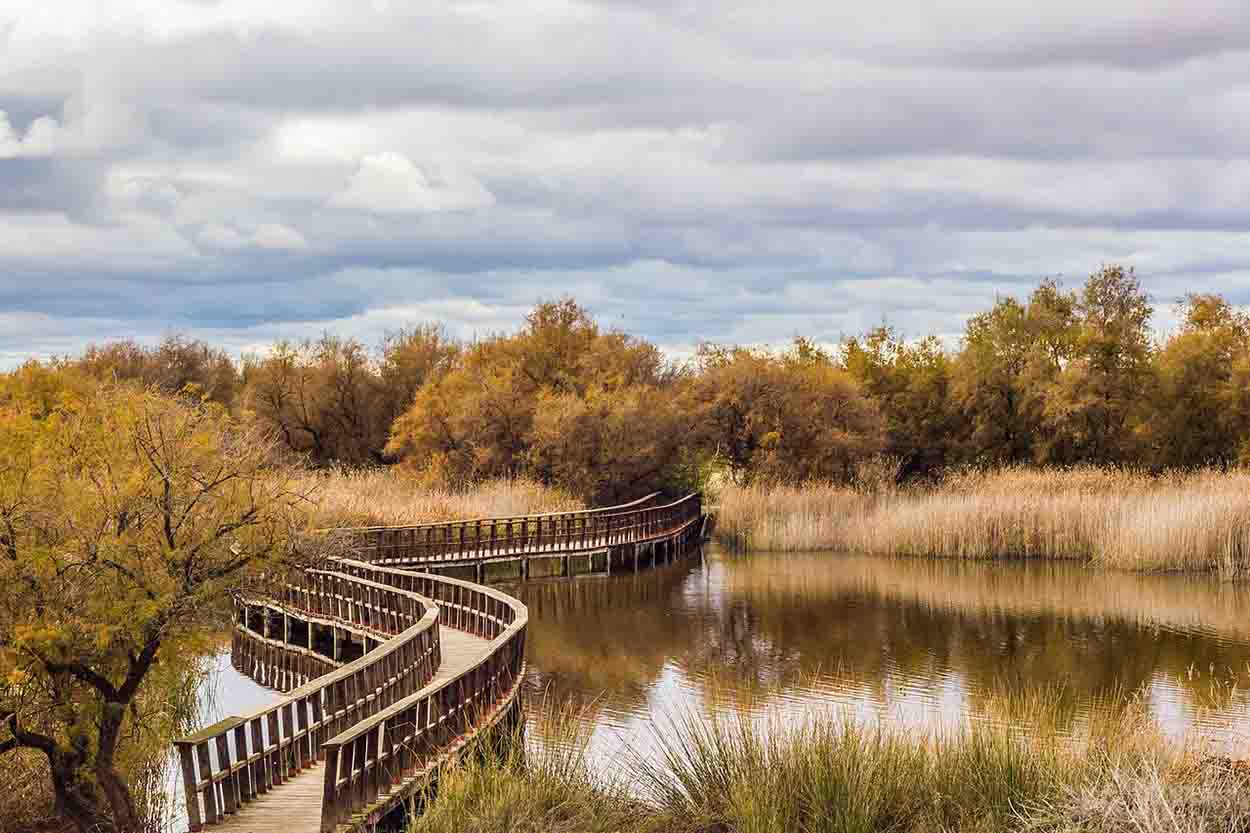 Humedal del Parque Nacional de las Tablas de Daimiel / Foto: Wikipedia