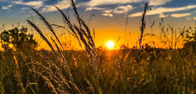 Puesta de sol en la estación estival / Foto: Felix Mittermeier