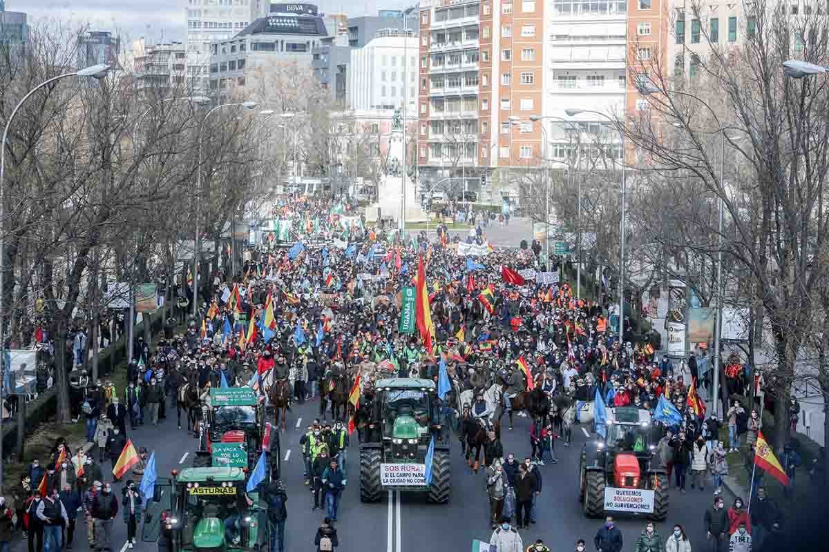 Miles de personas se manifiestan en Madrid / Foto: Ricardo Rubio - EP