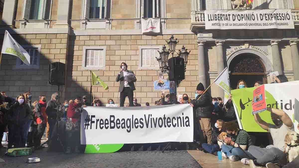 Manifestación contra el presunto sacrificio de una treintena de perros beagle. Experimentación animal / Foto: PACMA - EP