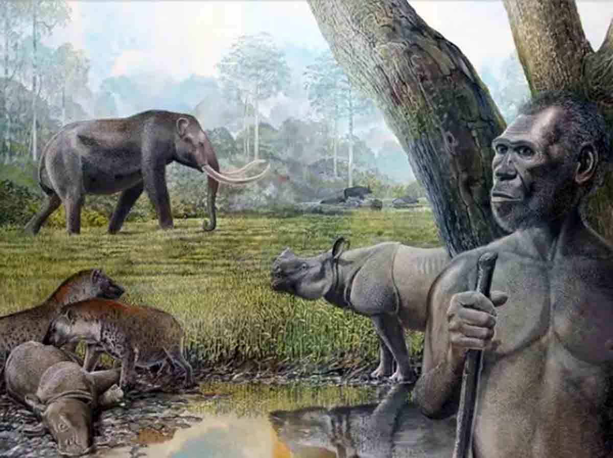 Reconstrucción artística de una sabana en el sudeste asiático del Pleistoceno medio. En primer plano, se representan Homo erectus, stegodon, hienas y rinocerontes asiáticos / Ilustración: Peter Schouten - EP