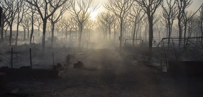 Zona calcinada por el incendio de Moguer (Huelva) / Foto: EP - A. Pérez