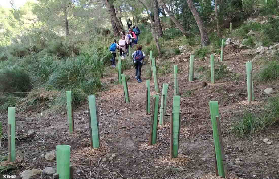 'Generación Eco'. Día Mundial de la Educación Ambiental / Foto: EP