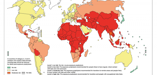 Distribución de niveles de riesgo de contagios humanos de rabia en el mundo 2018