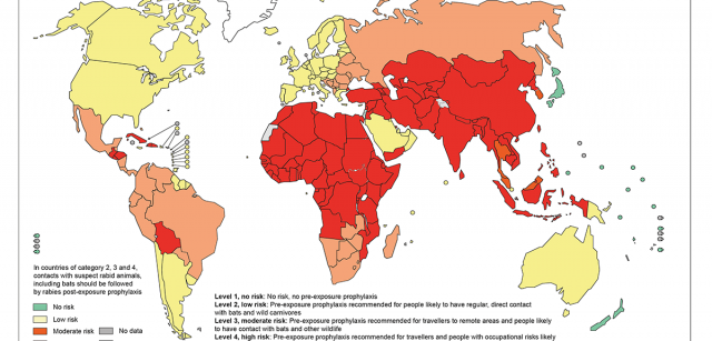 Distribución de niveles de riesgo de contagios humanos de rabia en el mundo 2018 Distribución de niveles de riesgo de contagios humanos de rabia en el mundo 2018