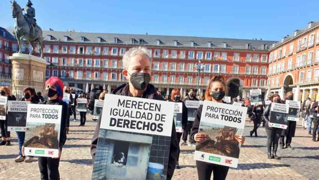 Manifestación en Madrid por la protección de los perros de caza / Foto: AnimaNaturalis - EP