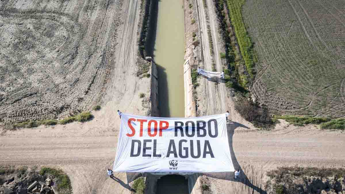 Fin de la impunidad en el robo de agua / Foto: WWF -EP