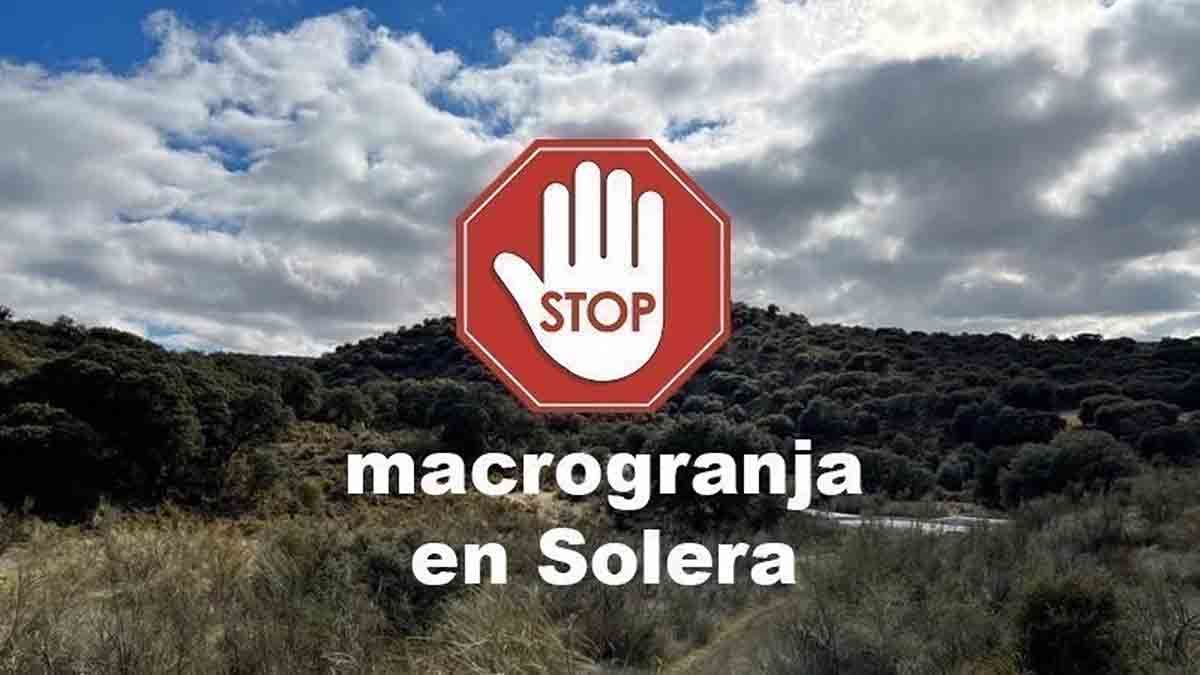 Imagen de la campaña en redes para detener la instalación de la macrogranja porcina / Imagen: EP