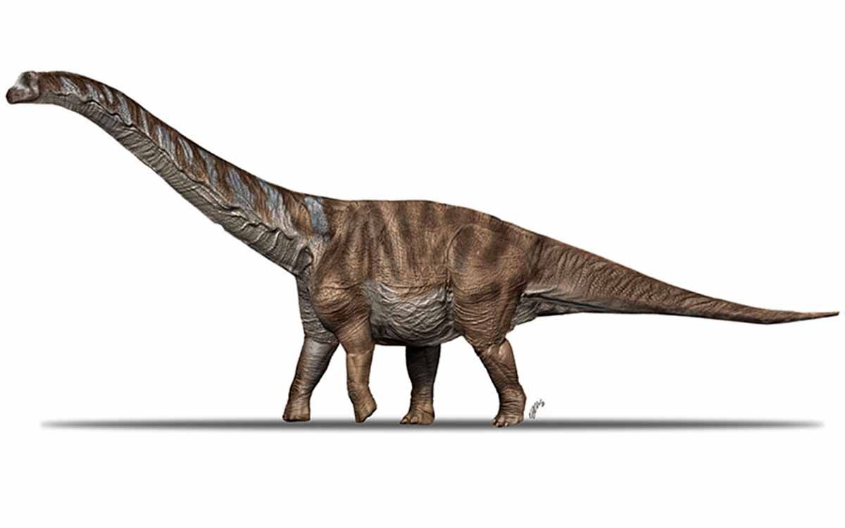 Recreación del titanosaurio Abditosaurus kuehnei / Imagen: IPC