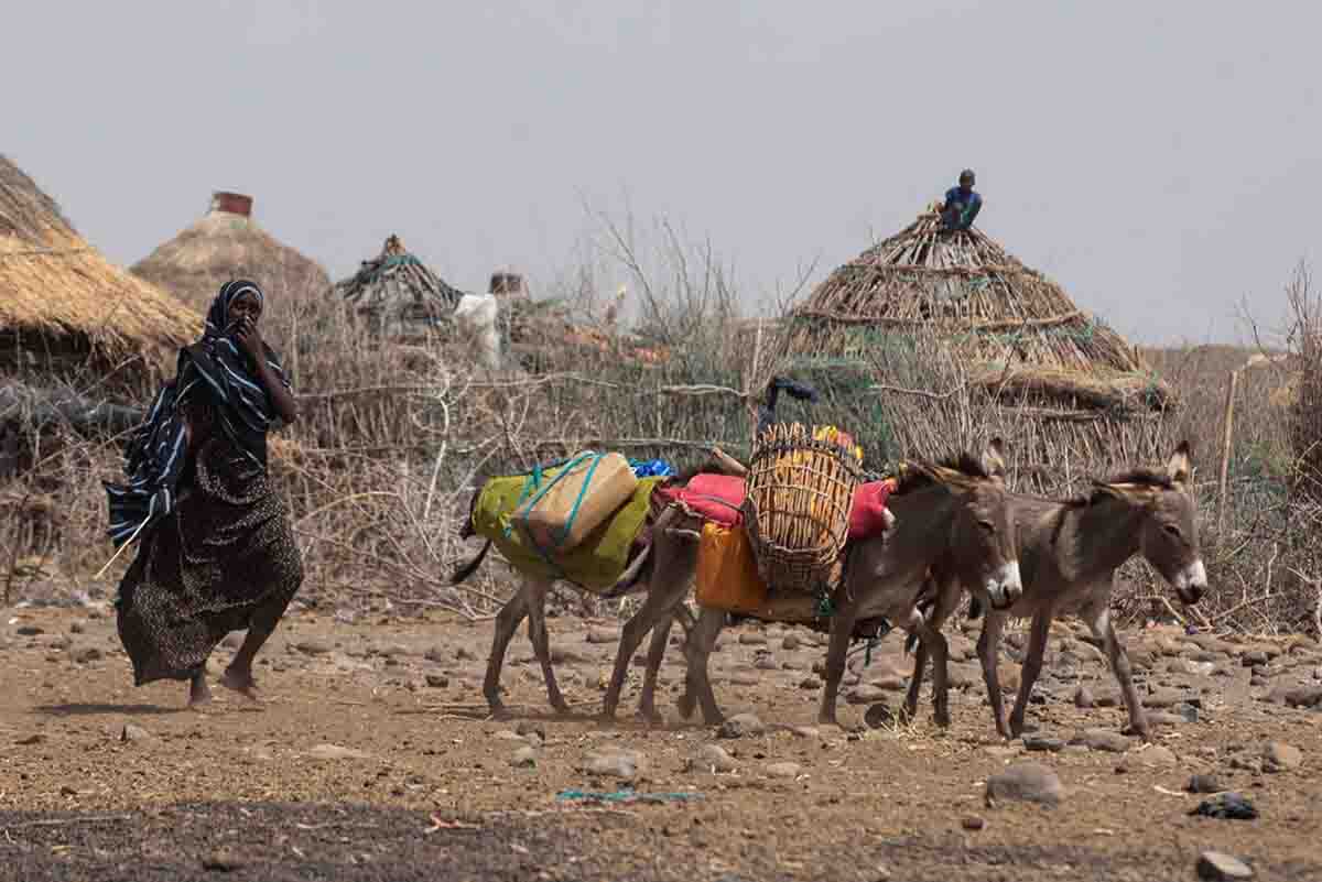 Efectos de la sequía en la región Somalí, en Etiopía / Foto: PMA/Michael Tewelde - EP
