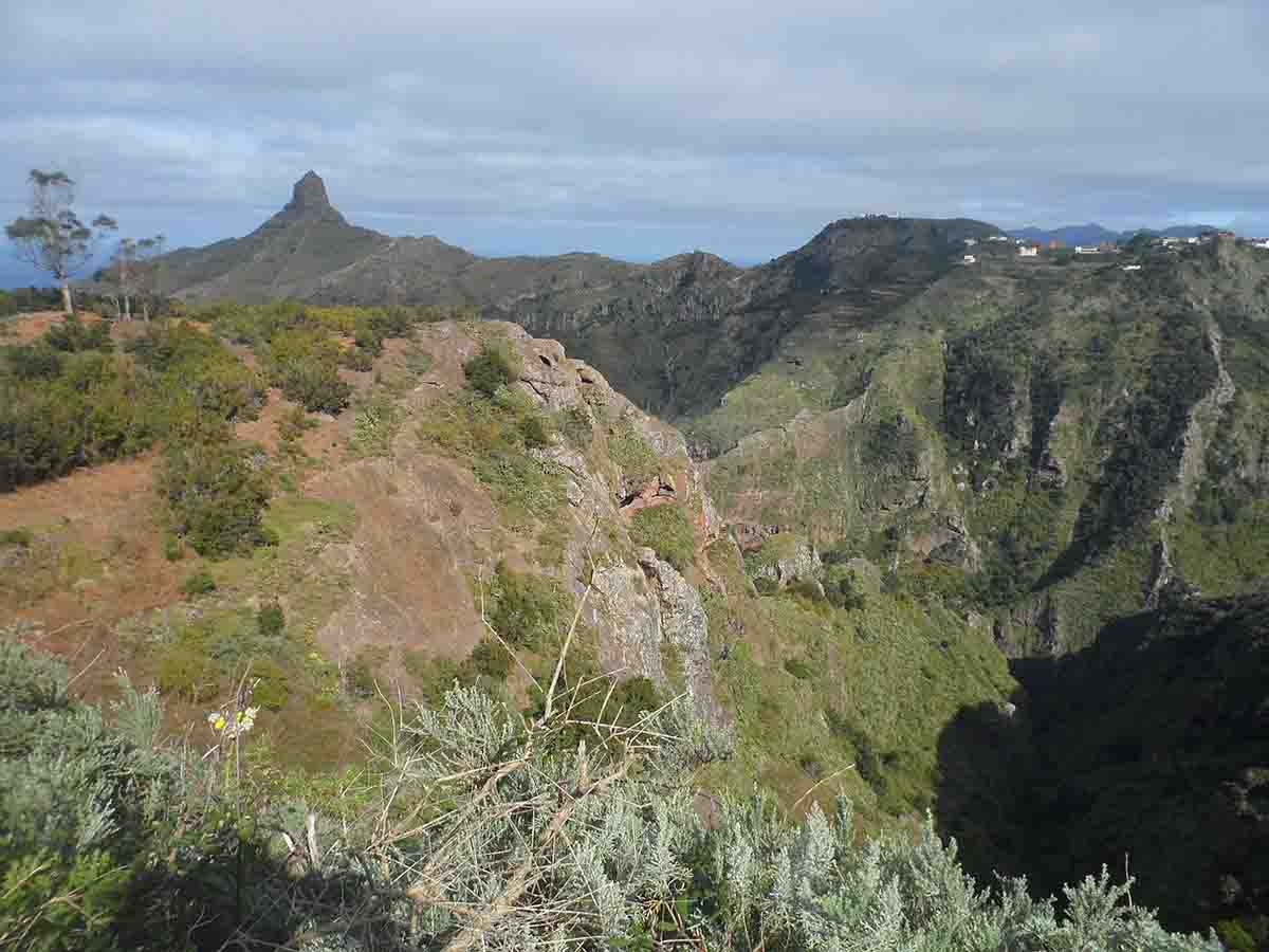 Rituales con aves descabezadas en el Parque Natural de Anaga, Tenerife / Foto: Wikipedia