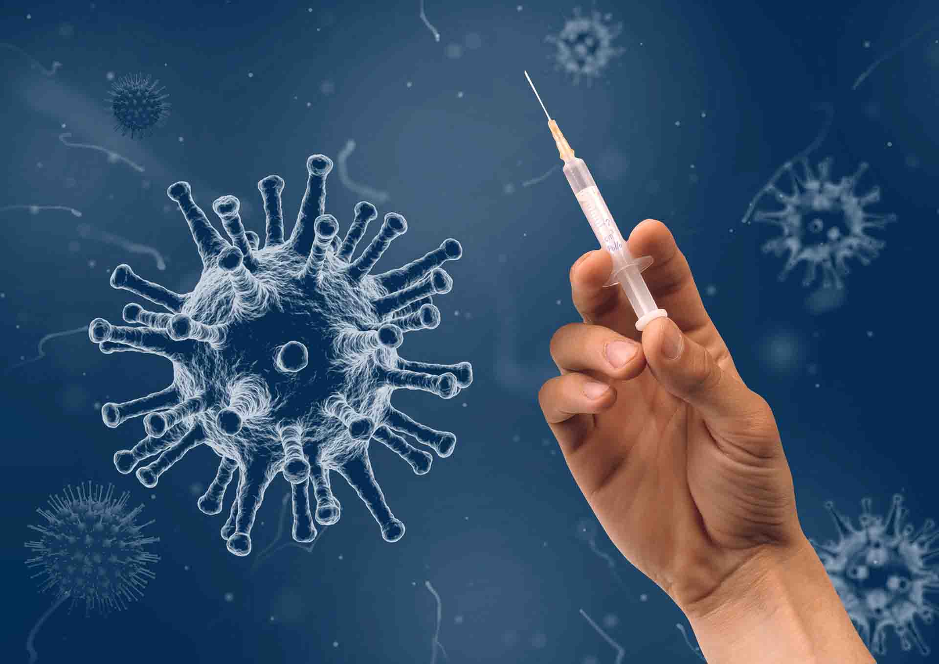 Contagiarse de covid-19 con o sin vacuna / Foto: Wilfried Pohnke - Pixabay