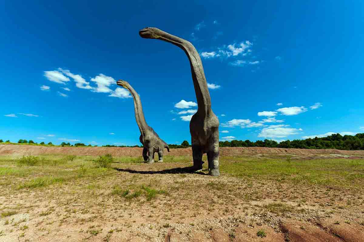 Los dinosaurios gigantes de Teruel y Valencia vivieron en un clima estacional con lluvias de tipo monzónico / Foto: Dariusz Sankowski - Pixabay