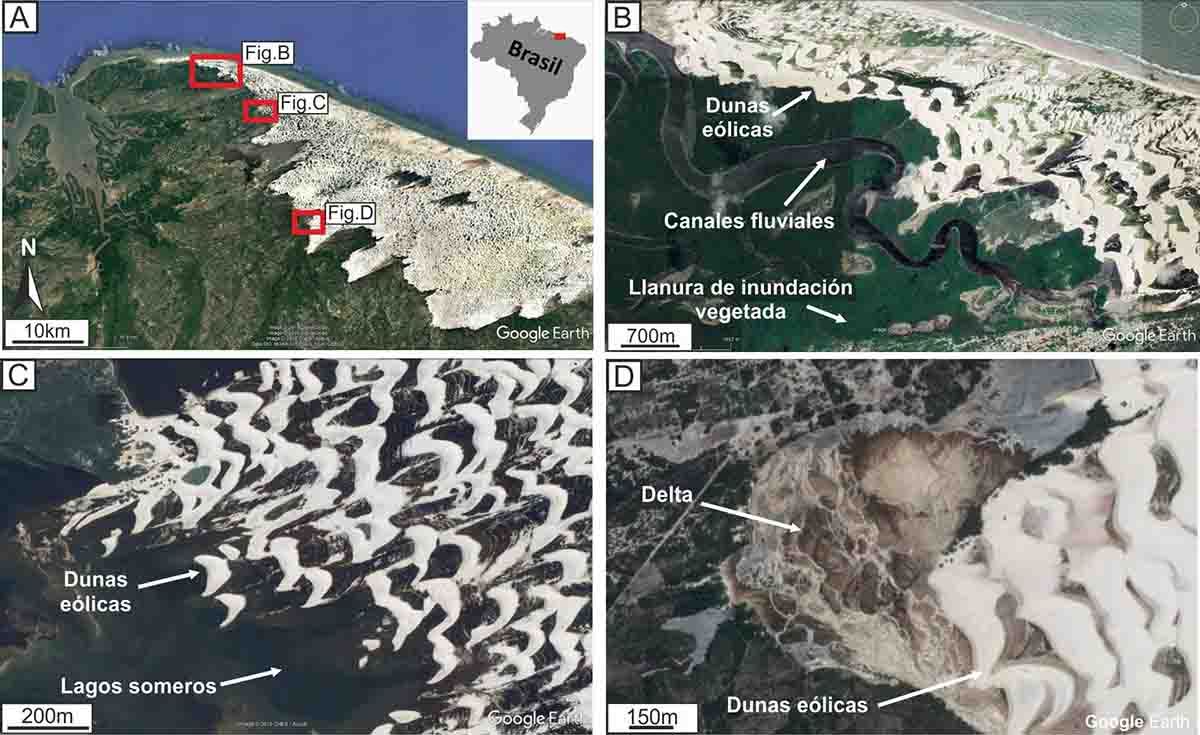 Imágenes de Google Earth del Parque Nacional de Lençois Marahensis (noreste de Brasil) donde se desarrollan dunas eólicas, canales fluviales, deltas, llanuras de inundación vegetadas y lagos someros / Imagen: Campos-Soto y colaboradores (Sedimentology)