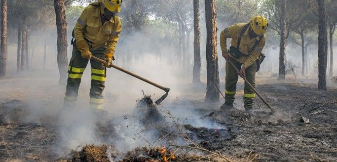 Efectivos en trabajan en la extinción del incendio de Moguer (Huelva) / Foto: A. Pérez - EP