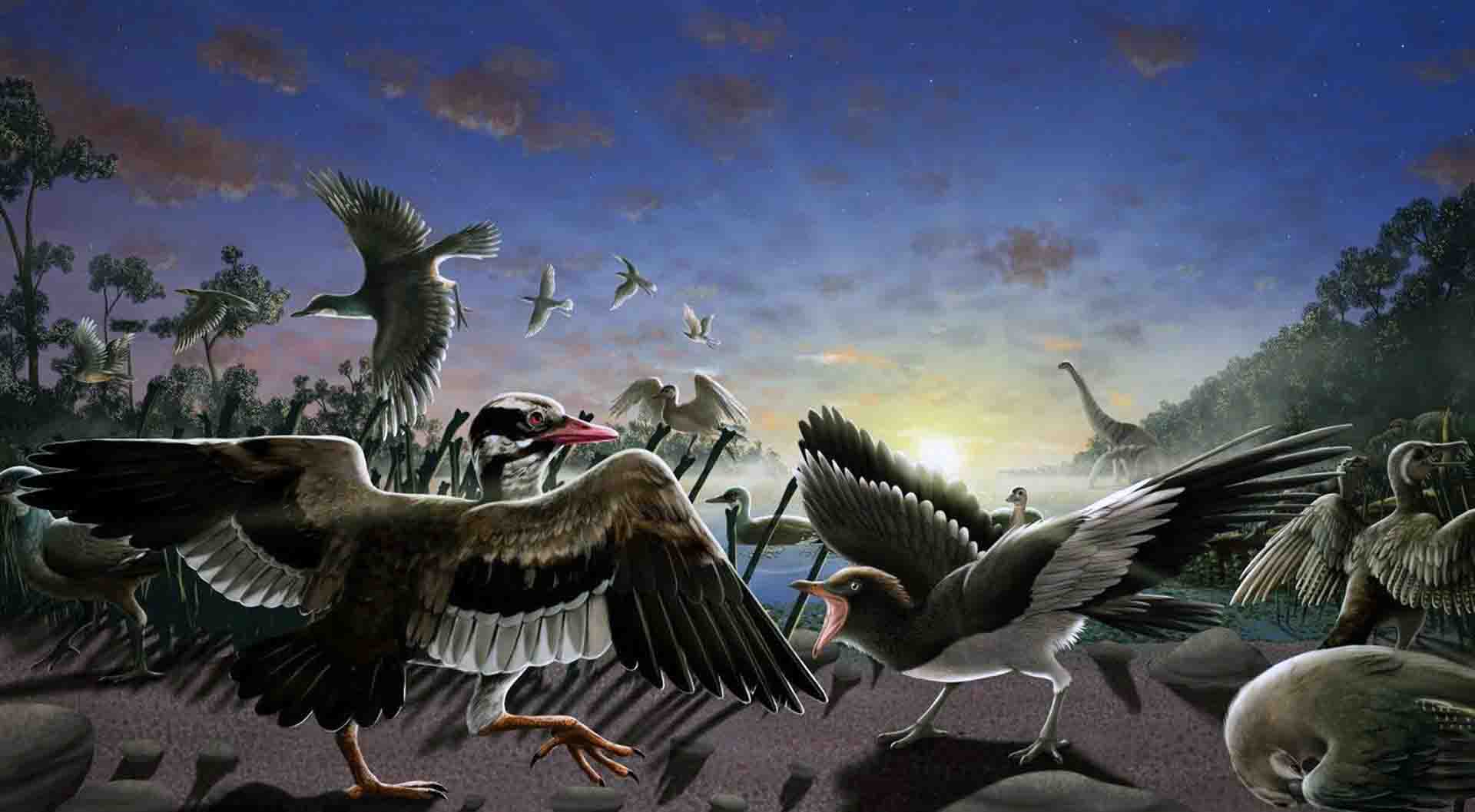 Recreación de las nuevas aves fósiles / Foto: Cindy Joli, Julio Francisco Garza y René Dávila - EP