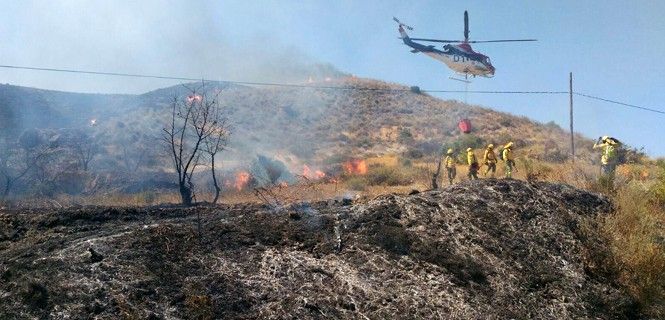 Efectivos de Bomberos del Levante / Foto: EP