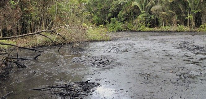 Zona contaminada del río Amazonas / Foto: UAB
