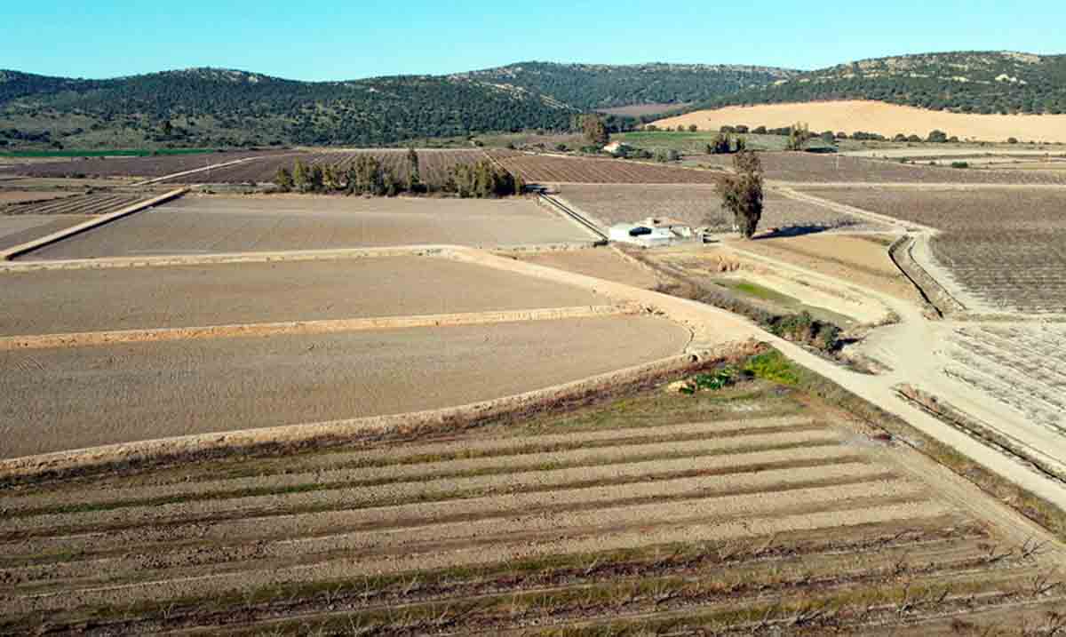 La sequía es ya una realidad en España / Foto: UPA