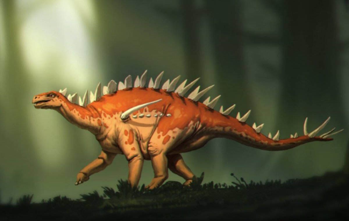 Bashanosaurus primitivus: la especie de estegosaurio más antigua de Asia y posiblemente del mundo / Imagen: EP