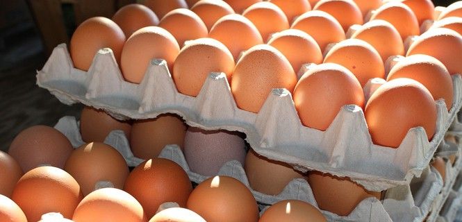 Huevos de gallina ponedora apilados / Foto: B. Haag