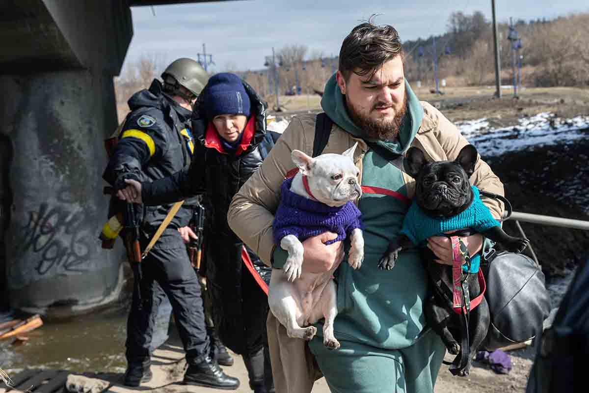 Un hombre visto con sus perros durante la evacuación. Miles de residentes de Irpin tienen que abandonar sus casas y evacuar mientras las tropas rusas bombardean una ciudad pacífica. Desplazados Ucrania / Foto: EP