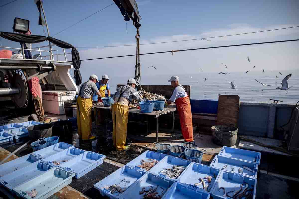 Pescadores seleccionan los residuos marinos recogidos / Foto: EP