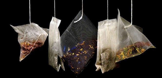 El organismo absorbe el 94% de las teaflavinas presentes en el té negro / Foto: Skitter Photo