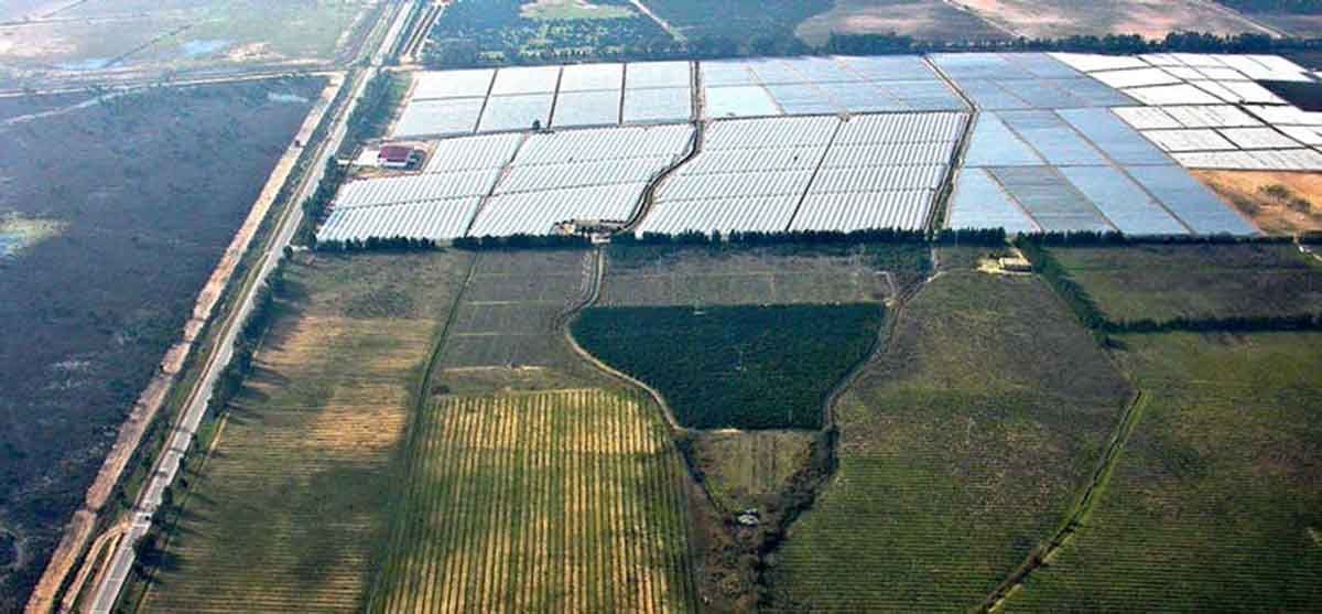 Invernaderos junto a Doñana, a la izquierda de la imagen / Foto: EBD-CSIC, Author provided - The Conversation