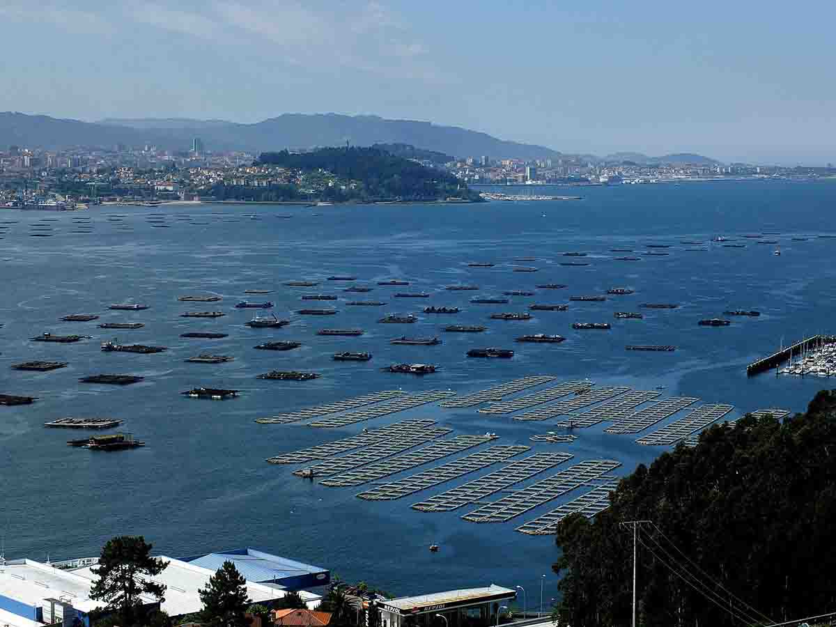 Ría de Vigo. Identificación de los contaminantes emergentes / Foto: Wikipedia