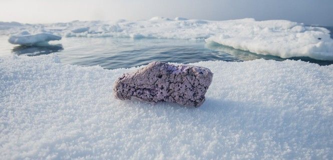 Bloques de poliestireno en Océano Ártico / Foto: Conor Mcdonnell
