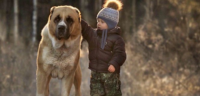 Piden un cambio estatus jurídico para los animales / Foto: FA