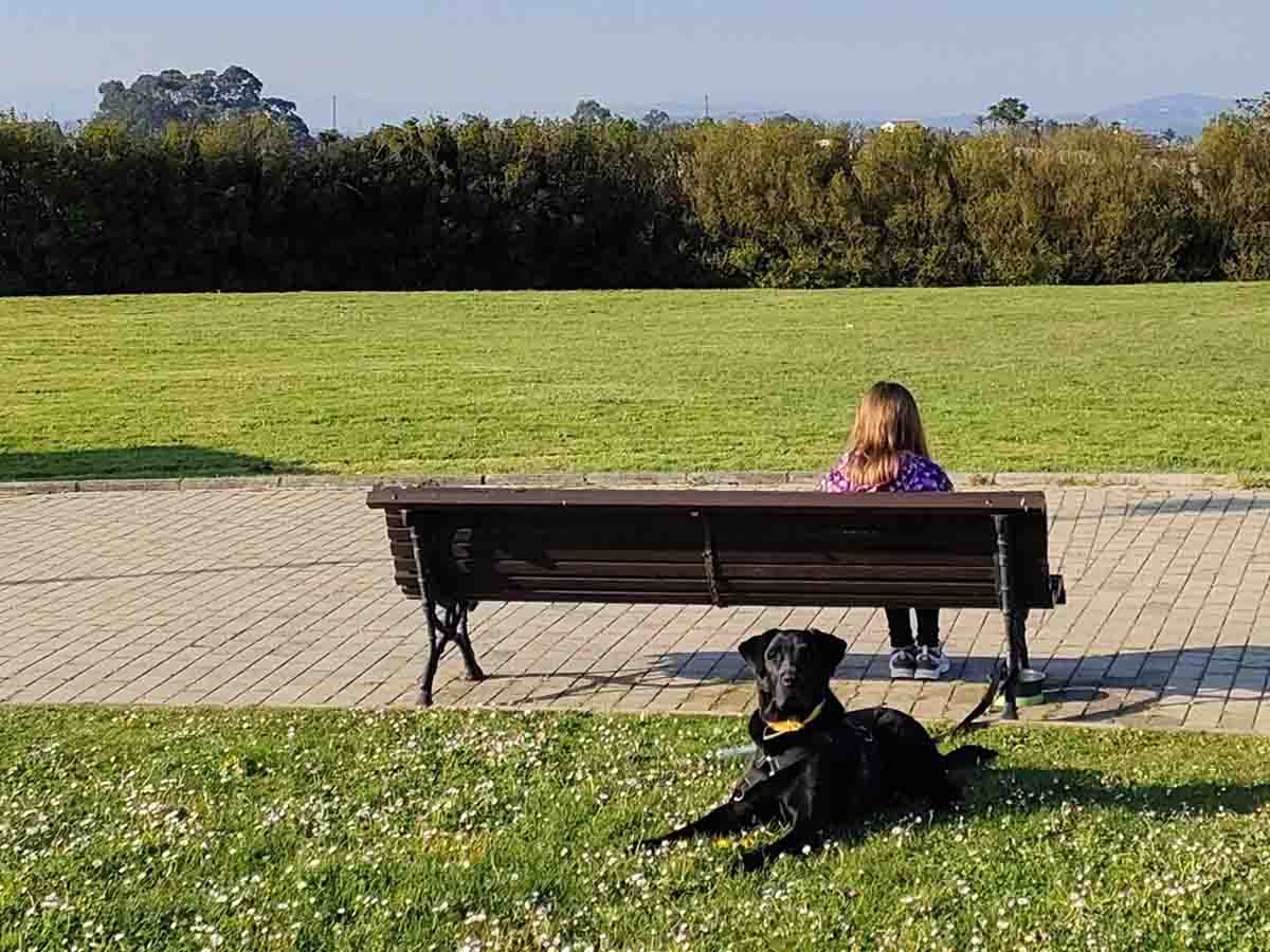 Un perro junto a su dueña. La nueva ley de bienestar animal / Foto: EP