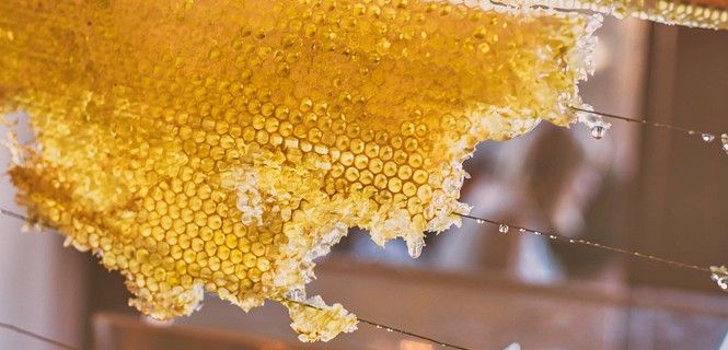 Porción de panal de miel / Foto: Stock Snap