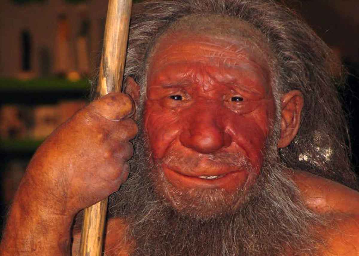 Homo sapiens 'neanderthalensis'. Neandertales ibéricos se extinguieron / Imagen: Wikimedia