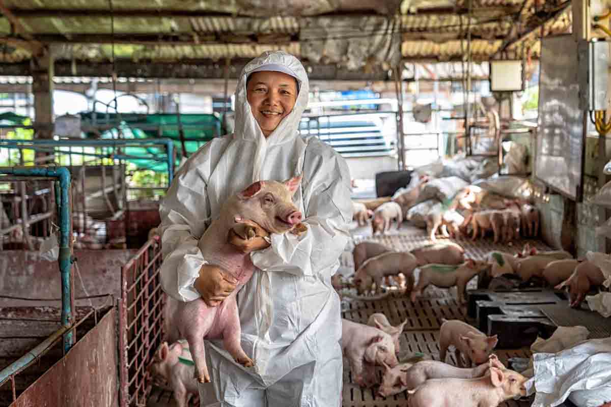 Salud, salud y salud: la humana, la animal y la ambiental  / Foto: Sinc