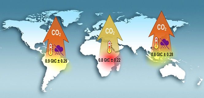 Niveles de CO2 durante el fenómeno de El Niño en 2015 / Foto: NASA - Caltech